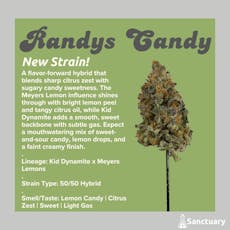 Sanctuary - Randy's Candy Flower