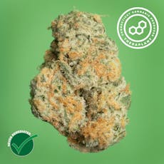 Black Cherry GMO Flower | T29.14 | 41372 | 3.5g"