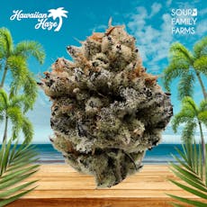 Hawaiian Haze