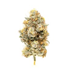 BC Organic Cleopatra