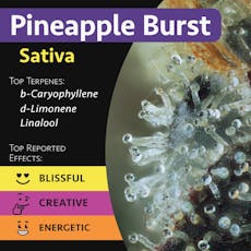 Pineapple Burst