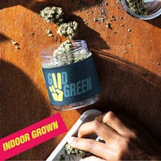 Night Owl Haze (NOH)