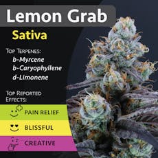 Lemon Grab