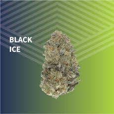 Black Ice