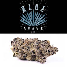 Blue Agave
