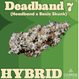 Deadband 7