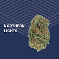 Northern Lights | Pure Dakota - Blowout