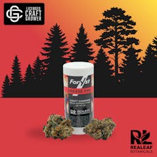 Grease Fire Foryst Flower