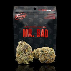 Mr. Bad