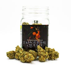 Tangerine Queen
