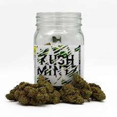 Kush Mintz
