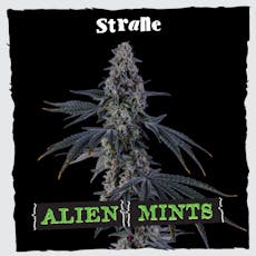 Alien Mints