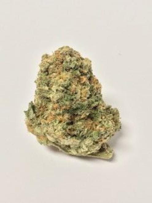 Solace Meds - OKC