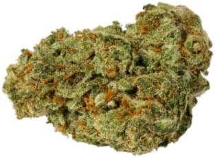 Pure Sunfarms - Pure Sun CBD - Pure Sun CBD 3.5g Dried Flower