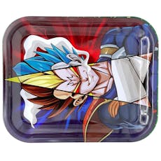 Assorted Graphic Trays - Assorted Graphic Large Tray