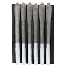 Station House - Amnesia Haze Pre Roll - Station House - Amnesia Haze 6x0.5g