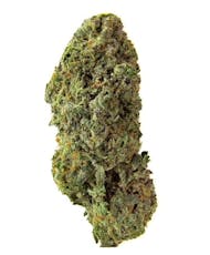 Bandwagon Sativa by Homestead - Bandwagon Sativa - 28g