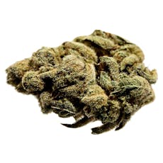 Orange Layer Cake- Potluck - Dried Flower - Orange Layer Cake - 7g