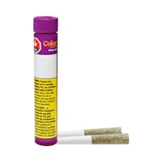 Color Cannabis - Mango Haze Pre-Rolls - MANGO HAZE PRE-ROLLS - (2 x 0.35g)