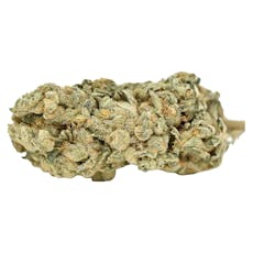 Weed Me - Blue Iguana - Blue Iguana 28g Dried Flower