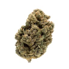 Jungle Cake - Jungl' Cake 14g Dried Flower