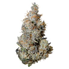 Tribal -Triple Burger -Indica -3.5g