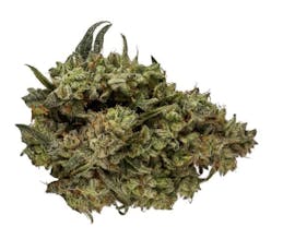 CBD Rntz - Orchid CBD - CBD Runtz - 3.5g