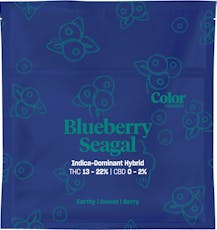 Color - Blueberry Seagal - BLUEBERRY SEAGAL - 7g