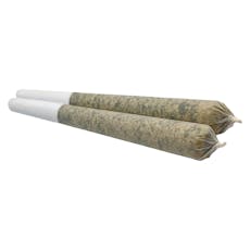 Sheeesh! - Trop Cherry Pre-Roll - Trop Cherry Pre-Roll 7x0.5g Pre-Rolls