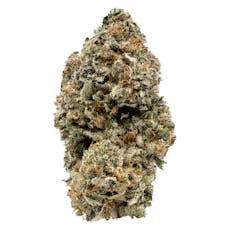 Nugszilla 7g Dried Flower (C) - VOLO