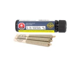 Mint Chocolate Chip Pre-Roll - Mint Chocolate Chip 3 x 0.5G