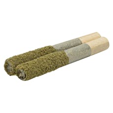 Terpgasm Dusted Dank Infused Pre-Roll 2x1g