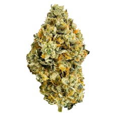 Medellin (3.5% TERPS) 7g