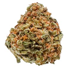 Potluck - Banana Cream - Banana Cream 7g Dried Flower