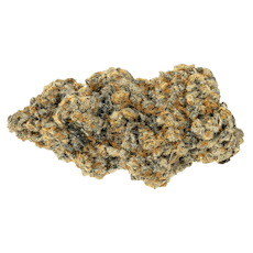 33 SPLITTER Craft by Woody Nelson - 33 SPLITTER CRAFT FLOWER - 3.5G