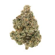 Organic Stinky Pinky by 1964 - Organic Stinky Pinky - 7g
