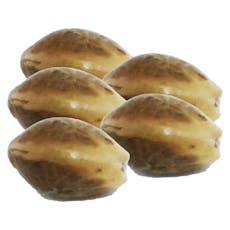 Northern Lights Auto Seeds 5 Pack