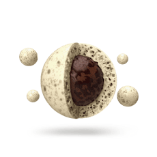 Chocolate Fusions Cookies & Cream 5pc