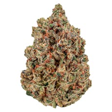 Cheers Cannabis - Sugar Daddy - Sugar Daddy 7g Dried Flower