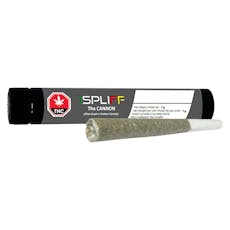 1SPLIFF Cannon Pre-Roll - 1x1G