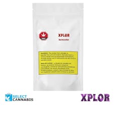 XPLOR | Red Hawaiian Vape Cartridge | 1g - (1g)