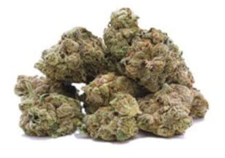 Modified Grapes by Bonus Bud - Modified Grapes - 28g