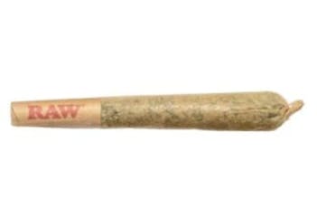 GLUERANGUTAN PRE-ROLLS - 1G GLUERANGUTAN PRE-ROLL