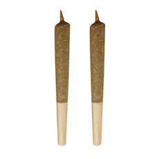 Big Buddy Sativa Pre-Roll- Buddy Blooms - Big Buddy Sativa Pre-Roll 2x1g Pre-Rolls