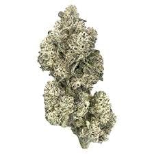 HIGHXOTIC Royal Dive#5: Purple Zombie - 3.5G