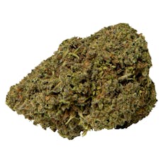 Mango Sapphire Haze- Abide - Dried Flower - Mango Sapphire Haze 3.5g Dried Flower
