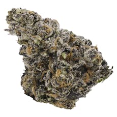 Gastro Pop | 14g - Gastro Pop | 14g