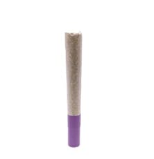 G.S.P (Gas S'il vous Plait) Ice Water Hash Infused Pre-Roll 1x1g