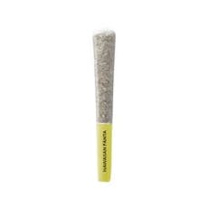 Hawaiian Fanta Pre-Rolls - Pistol And Paris 10pk - HAWAIIAN FANTA PRE-ROLLS - 10pk