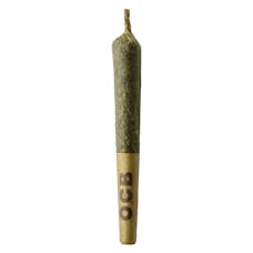 Sheeesh! - Dubb Bubbs Cured Resin Infused Pre-rolls - Dubb Bubbs Cured Resin Infused Pre-rolls 3x0.5g Resin
